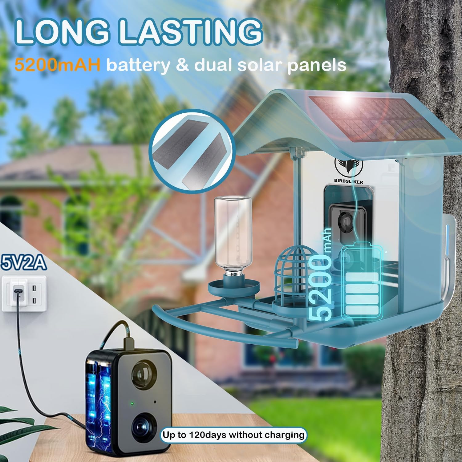 Bird Feeder with Camera - Image 3