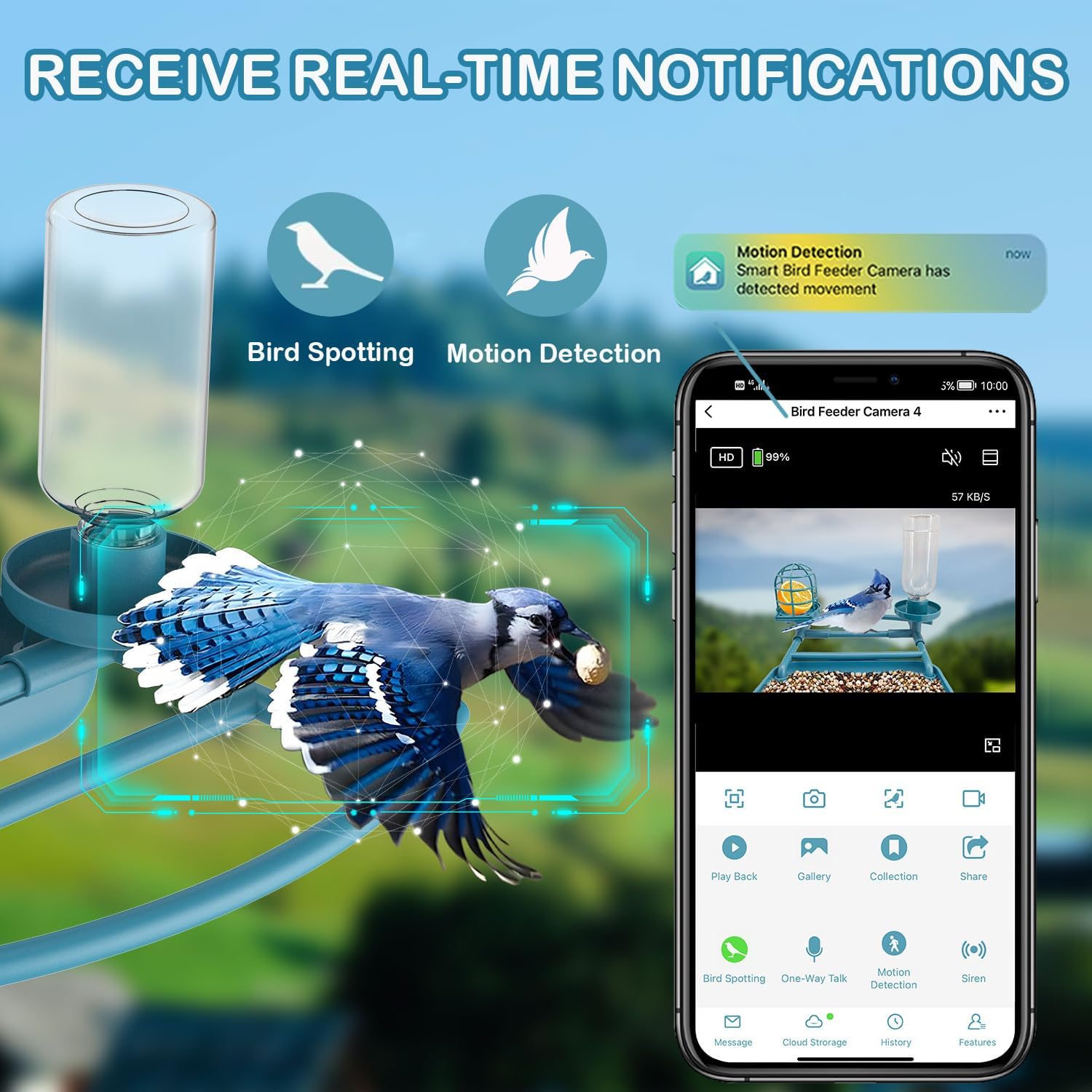 Bird Feeder with Camera - Image 4