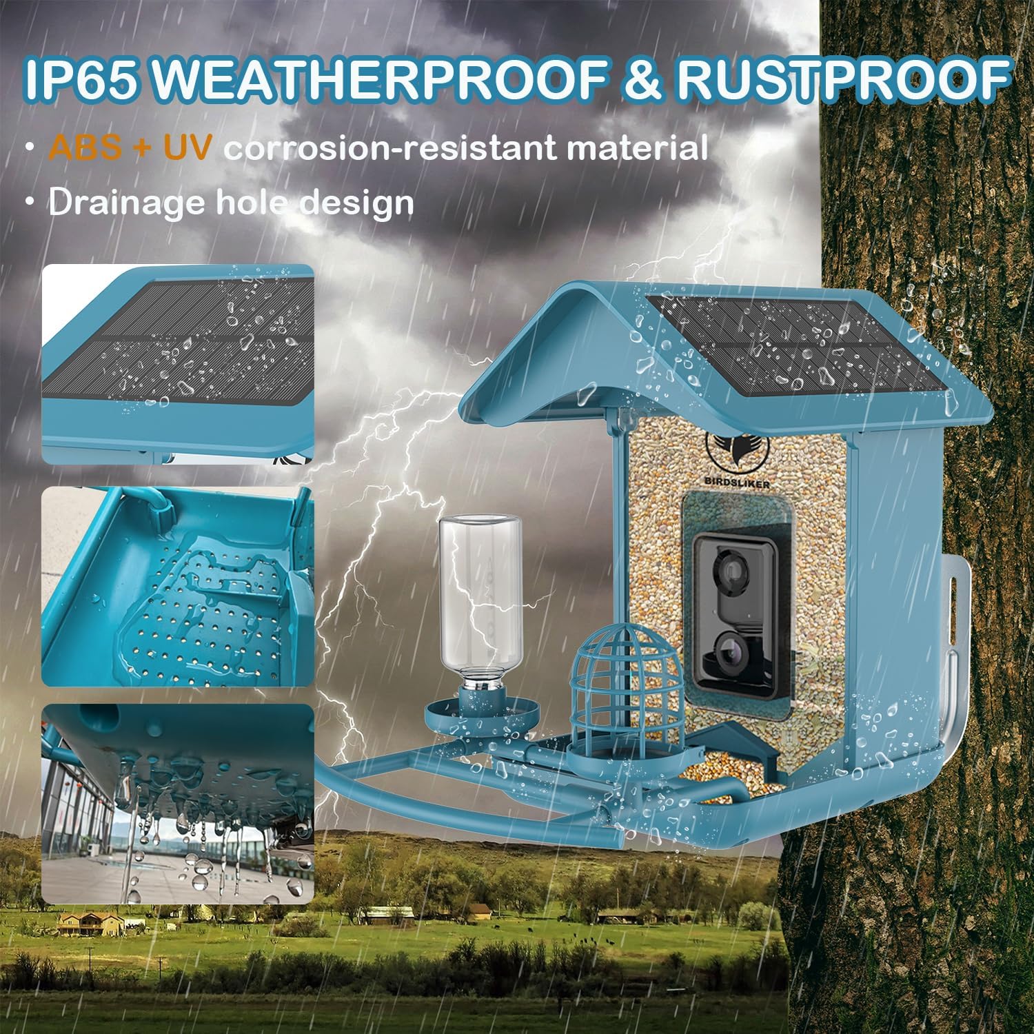 Bird Feeder with Camera - Image 5