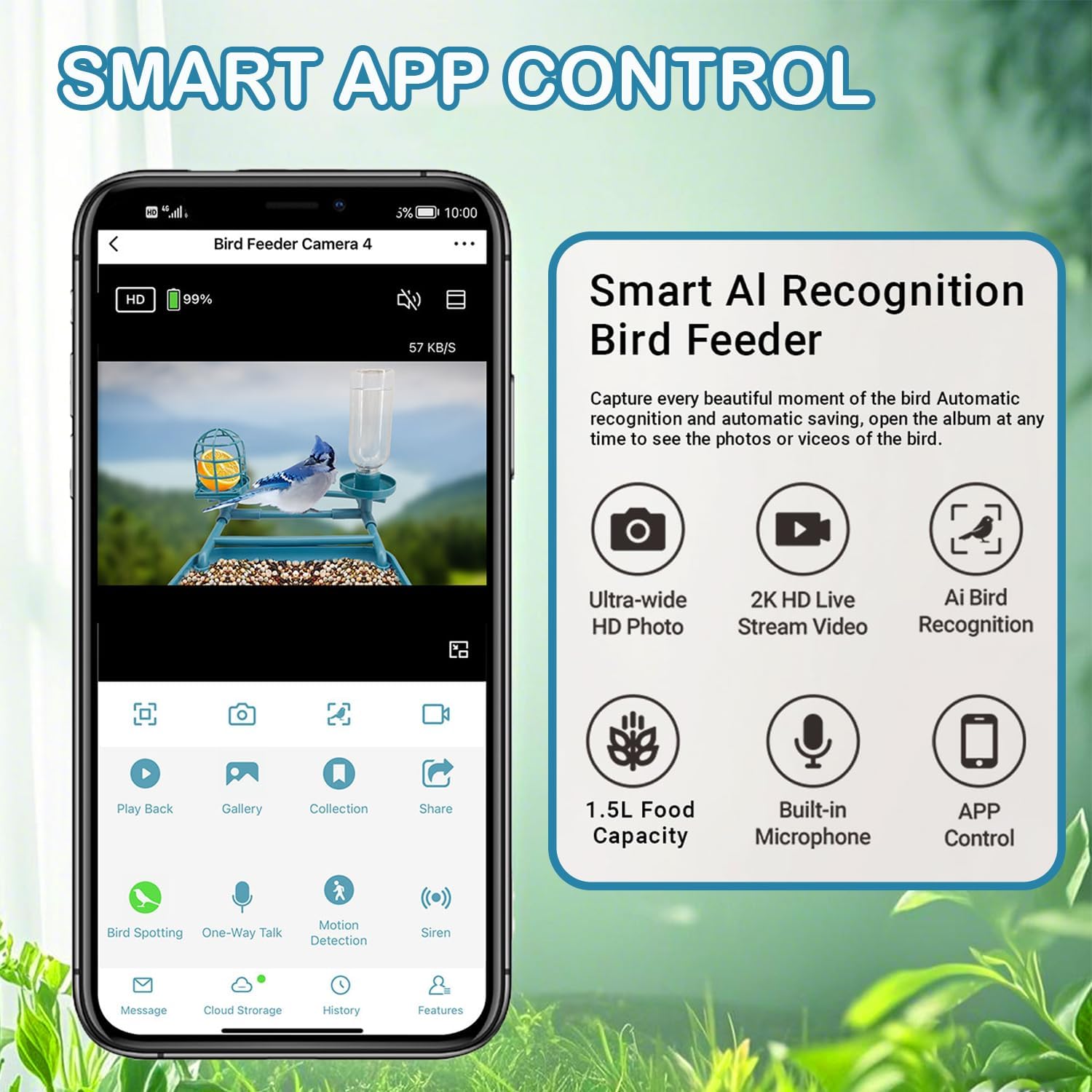 Bird Feeder with Camera - Image 6