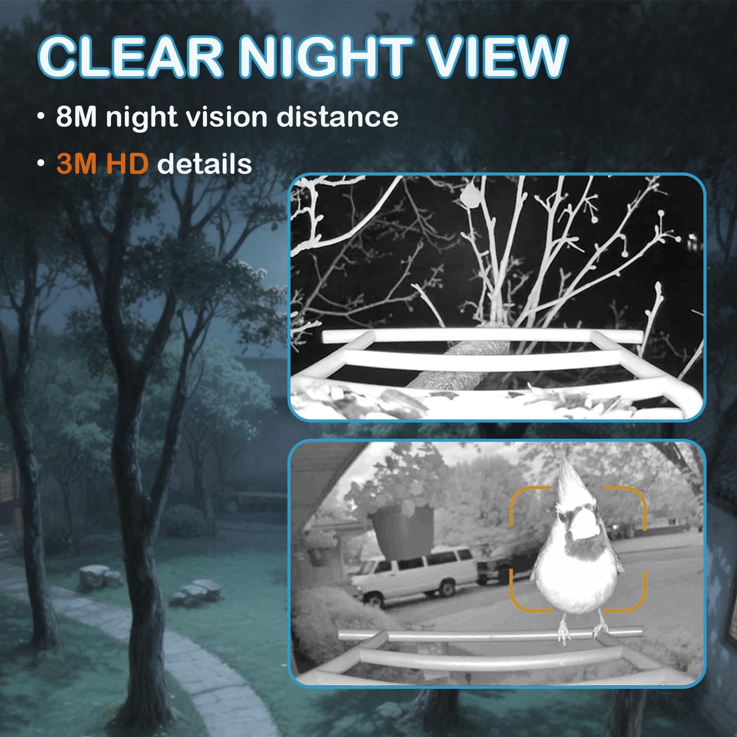 Bird Feeder with Camera - Image 7